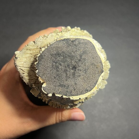 Decorative Grey Resin Rustic Textured Screech Owl Sculpture Statue Figure 6.25" - Picture 7 of 7